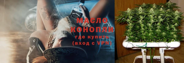 шишки Дмитровск