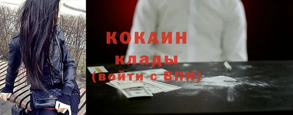шишки Дмитровск