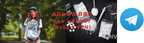 шишки Дмитровск