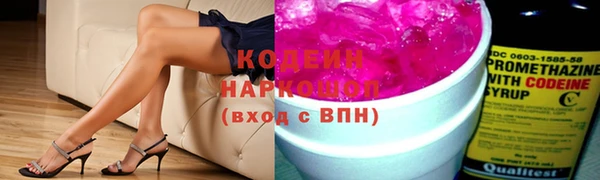 шишки Дмитровск