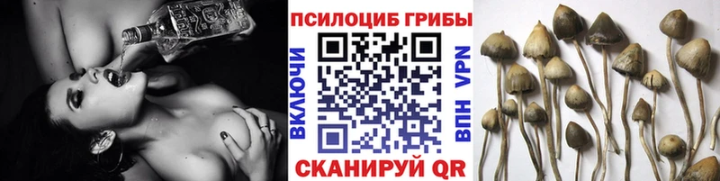 Галлюциногенные грибы мухоморы  Купить где  Орлов 